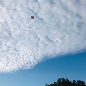 Meet your Posher, Autumn